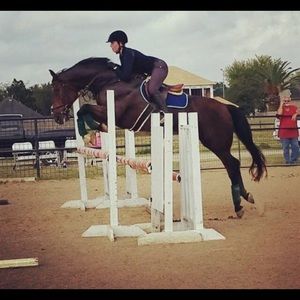 Meet your Posher, Monmontana